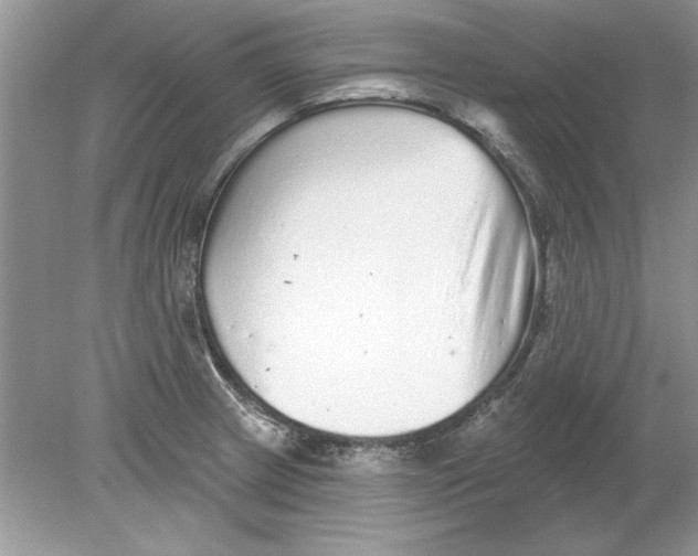 X0000078871233200612041950