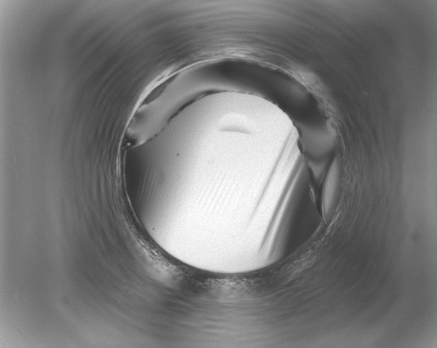 X0000078871234200612041950