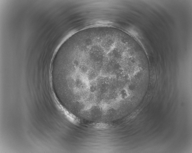 X0000078871235200612041950