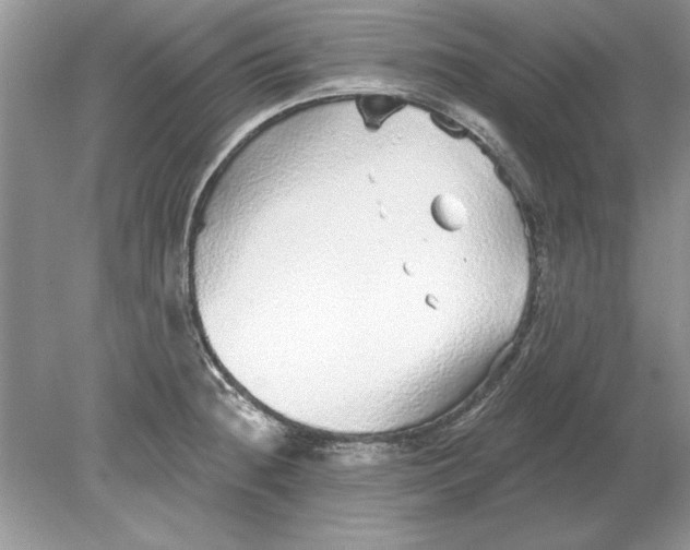 X0000078871236200612041950