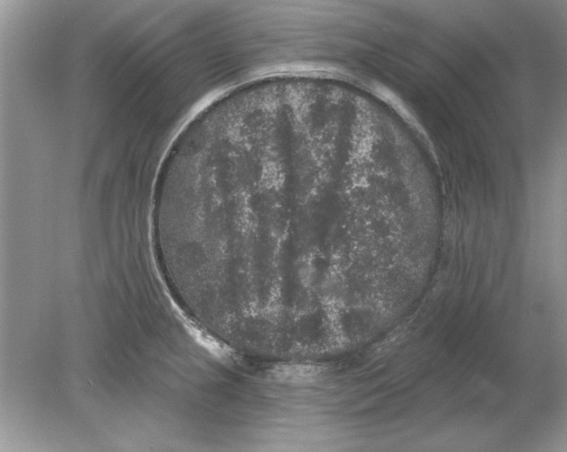 X0000078871237200612041950