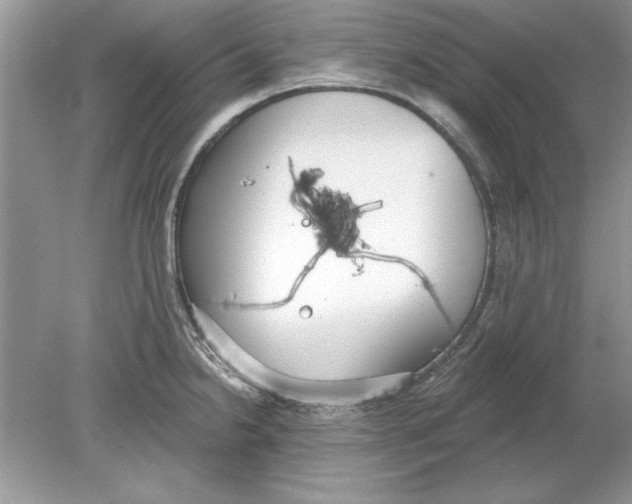 X0000078871238200612041950