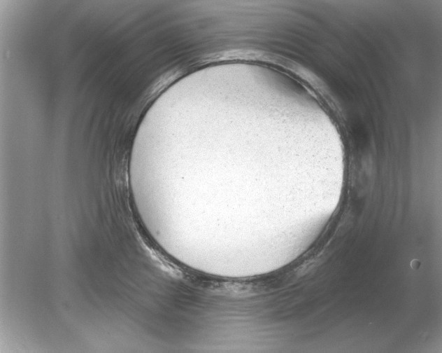 X0000078871241200612041950