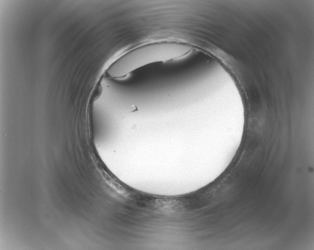 X0000078871242200612041950