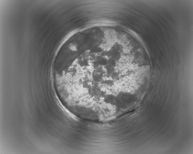 X0000078871243200612041950