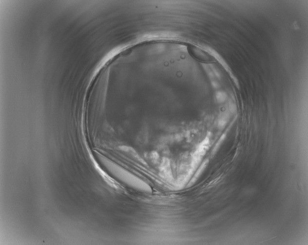 X0000078871245200612041950