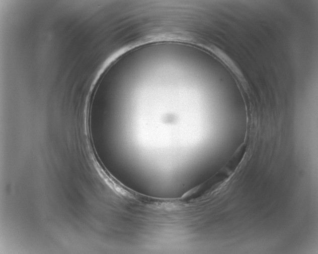 X0000078871246200612041950