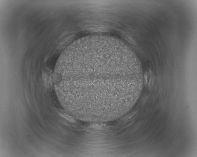 X0000078871251200612041949