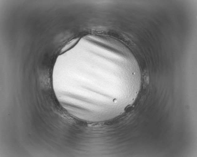 X0000078871252200612041949