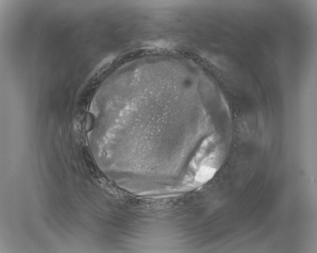 X0000078871254200612041949