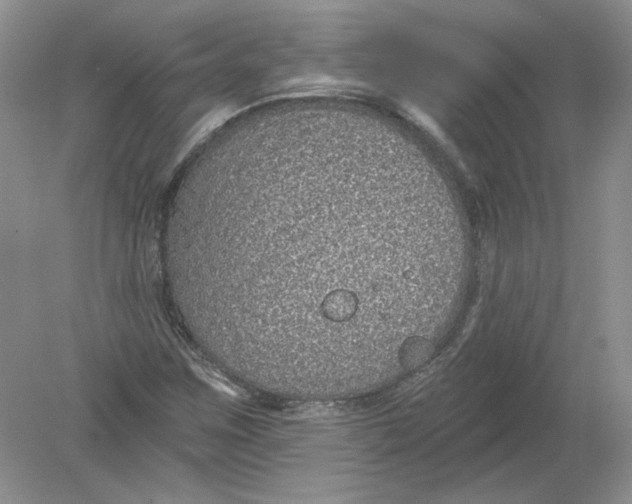 X0000078871259200612041949