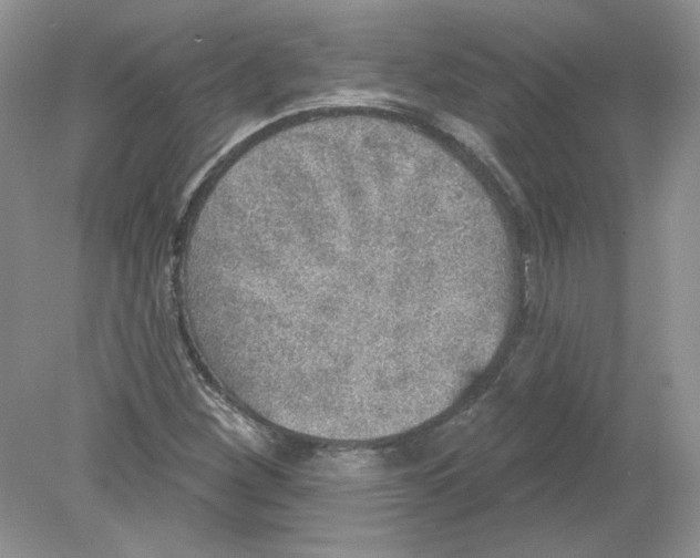 X0000078871260200612041949