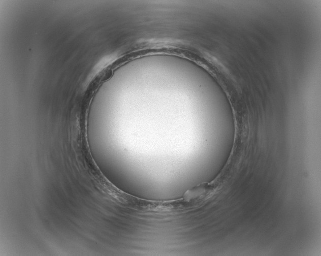 X0000078871261200612041949