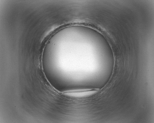 X0000078871262200612041949