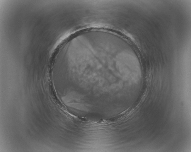 X0000078871263200612041949