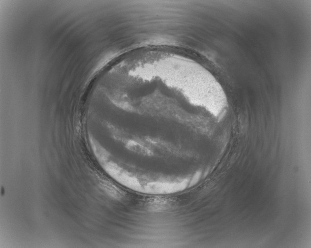 X0000078871266200612041949