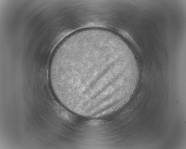 X0000078871268200612041949