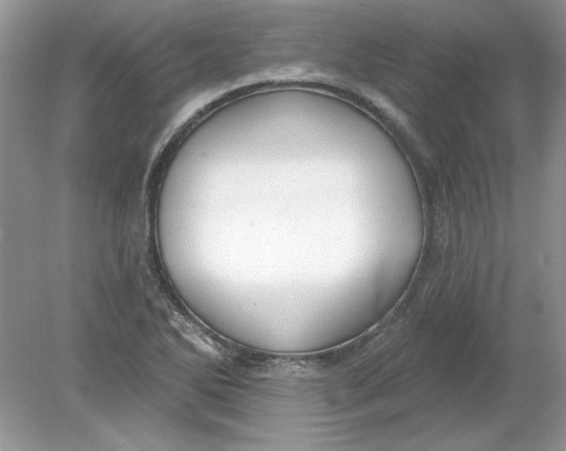 X0000078871270200612041949