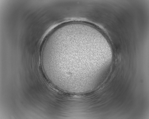 X0000078871271200612041949