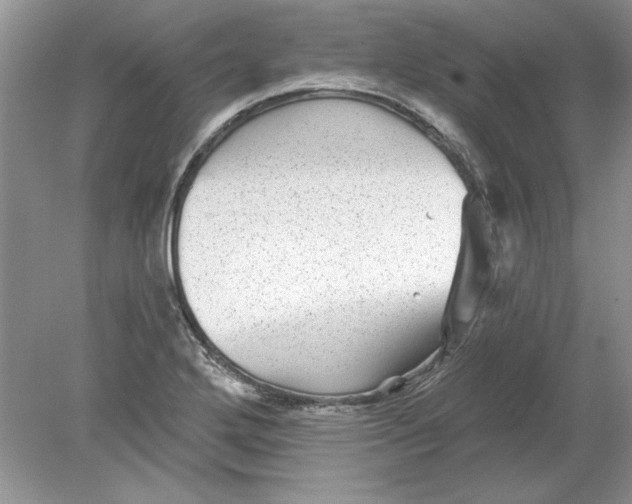 X0000078871272200612041949