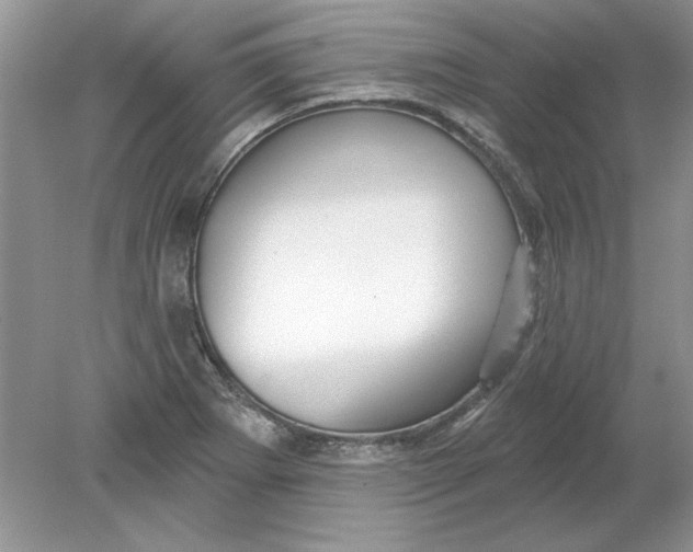 X0000078871273200612041949