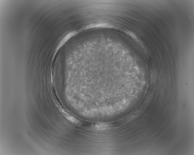 X0000078871274200612041949