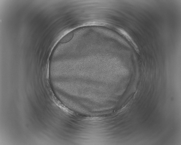 X0000078871276200612041949