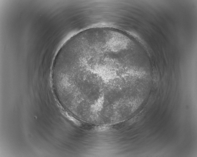 X0000078871278200612041948