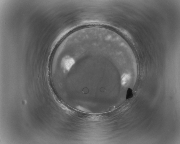 X0000078871279200612041948