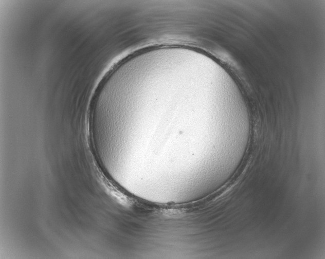 X0000078871280200612041948