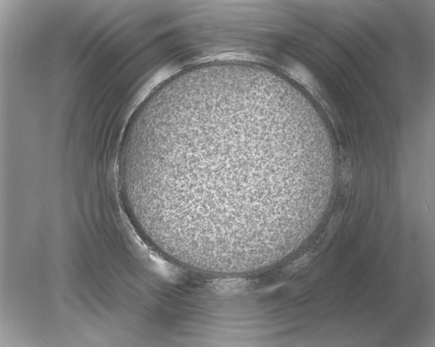 X0000078871282200612041948