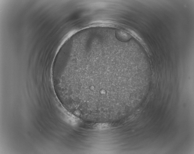 X0000078871283200612041948