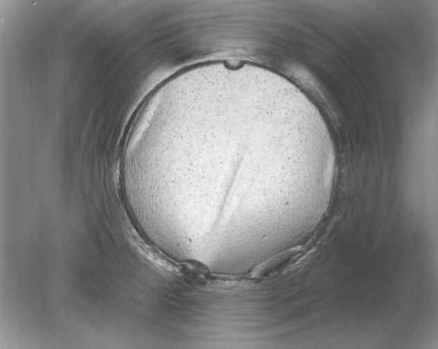 X0000078871284200612041948