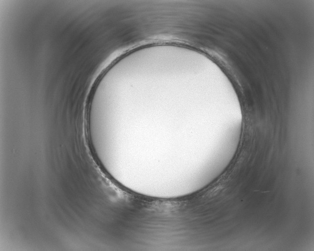 X0000078871286200612041948