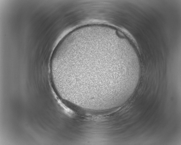 X0000078871287200612041948