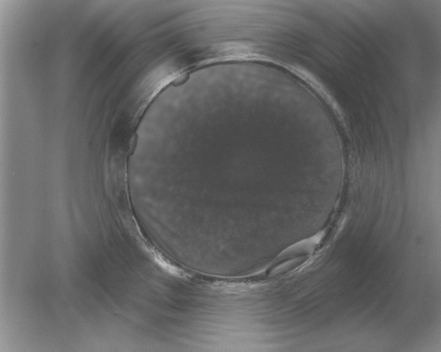 X0000078871289200612041948