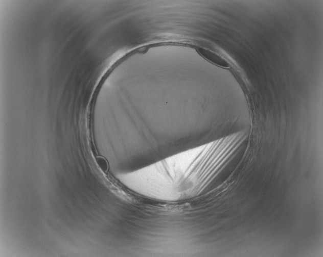 X0000078871291200612041948