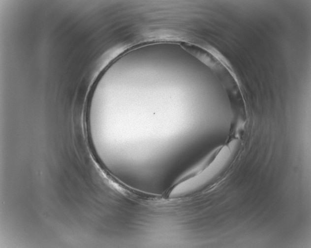 X0000078871293200612041948