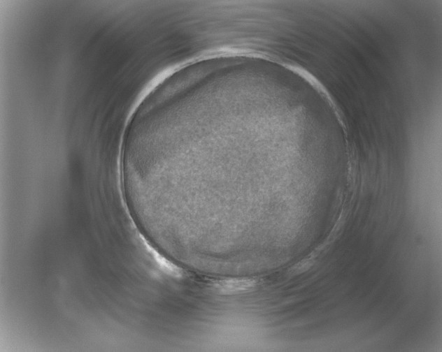 X0000078871294200612041948