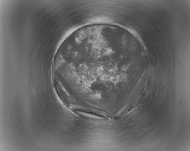 X0000078871295200612041948