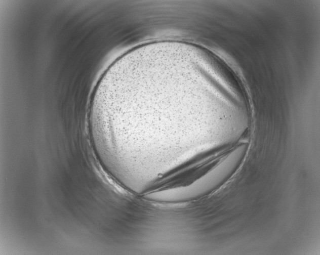 X0000078871296200612041948