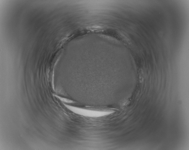 X0000078871298200612041947