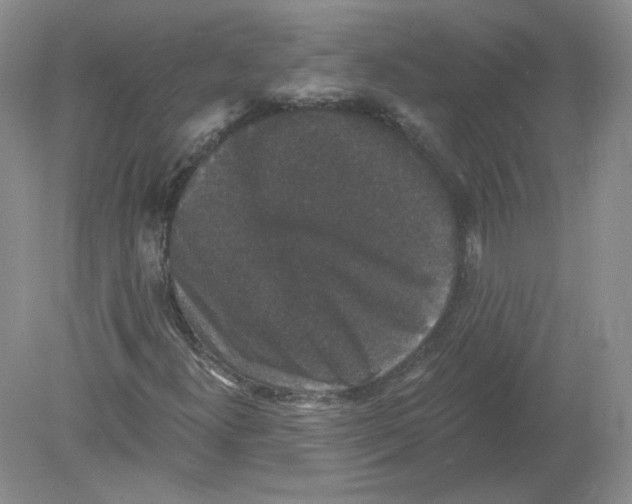 X0000078871300200612041947