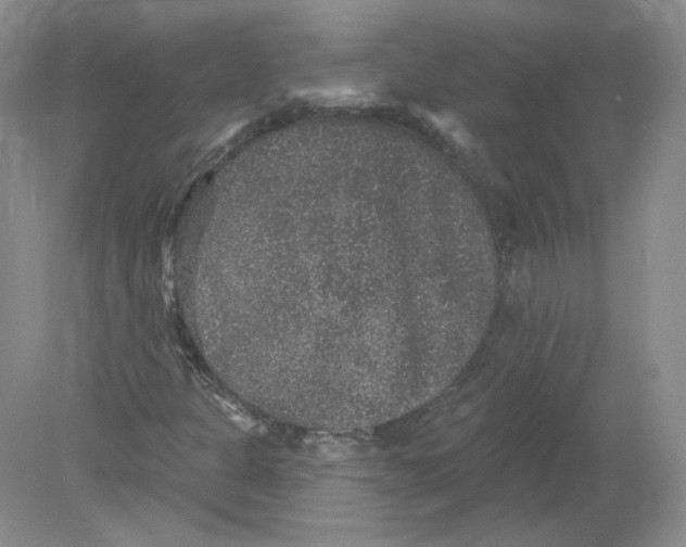 X0000078871301200612041947