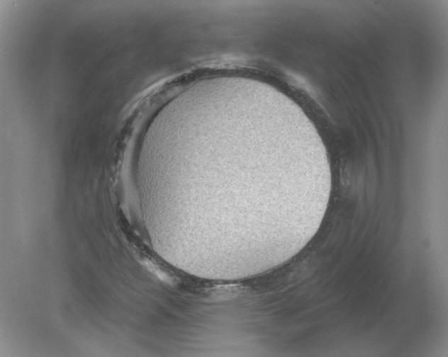 X0000078871304200612041947