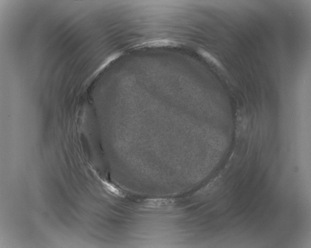 X0000078871305200612041948