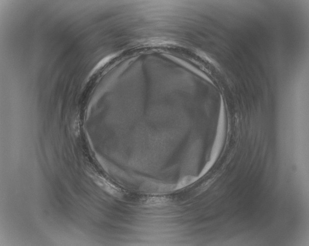 X0000078871306200612041948