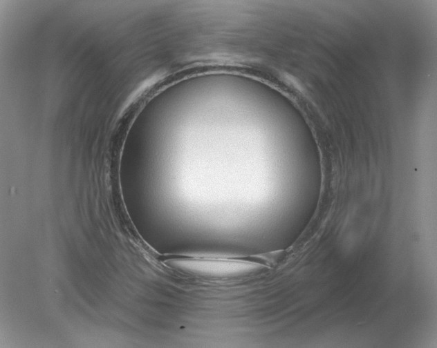 X0000078871307200612041948