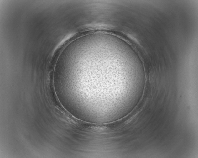 X0000078871309200612041948