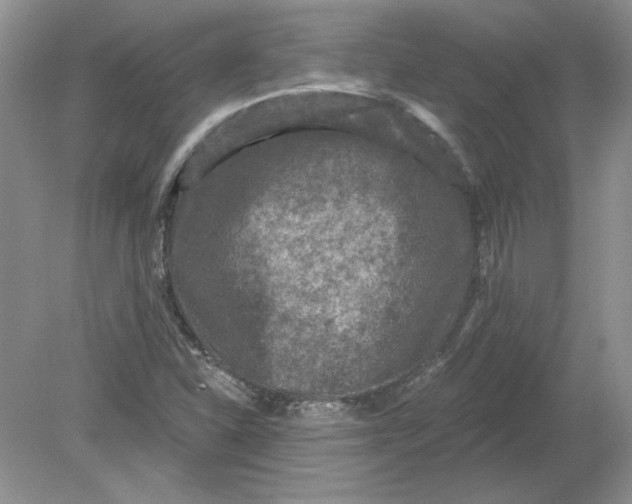 X0000078871310200612041948